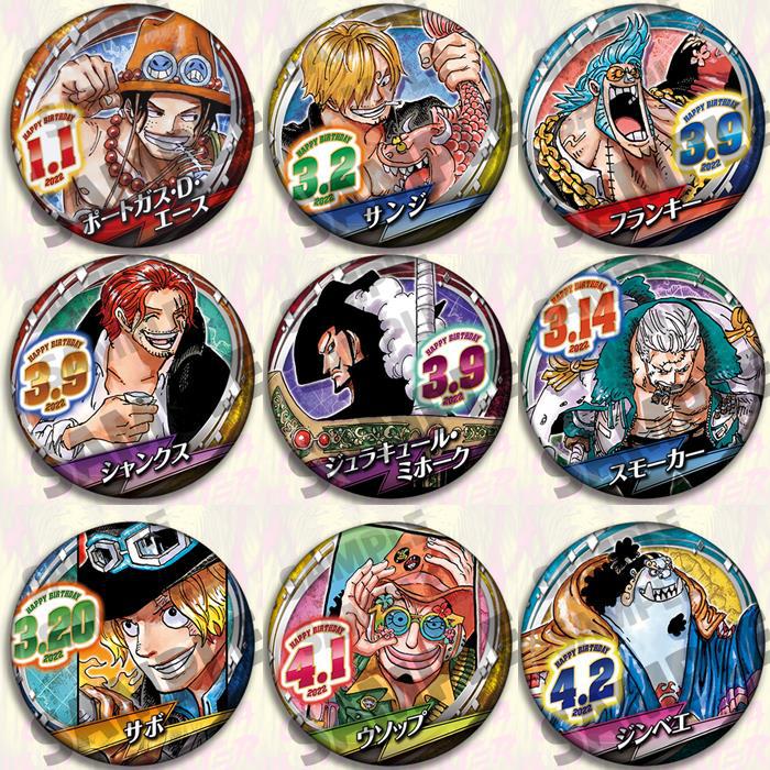Anime Merchandise In Chinese - One Piece Anime Badge Pin Set