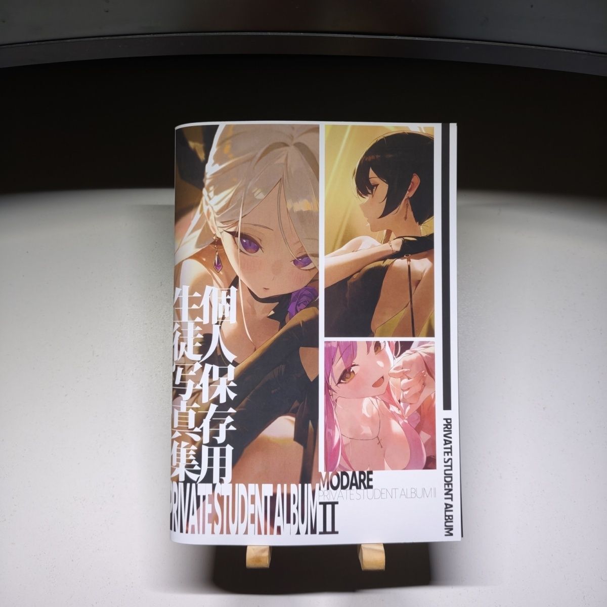 Art Book Illustration - Blue Archive PRIVATE STUDENT ALBUM II